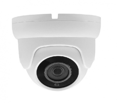 Видеокамера AltCam DDMF21IR